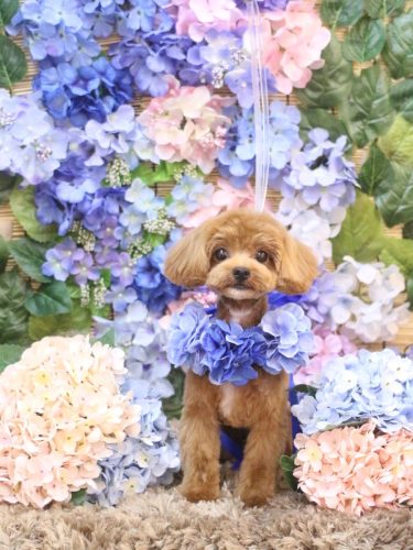 20250612海瑠ちゃん